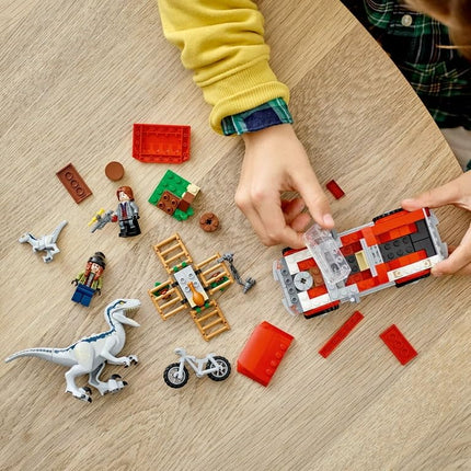 LEGO Jurassic World Dino Combo Pack 66774, pack économique de jouets, coffret cadeau 2 en 1 Triceratops et Vélociraptor, cadeau de Noël pour les enfants de 7 ans et plus
