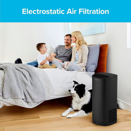 Filtro purificador de aire Filtrete F2 para habitación, HEPA verdadero de primera calidad para alérgenos, bacterias y virus, 33 cm x 20,8 cm, paquete de 2, compatible con los dispositivos: FAP-C02, FAP-C03, FAP-SC02 y FAP-T03