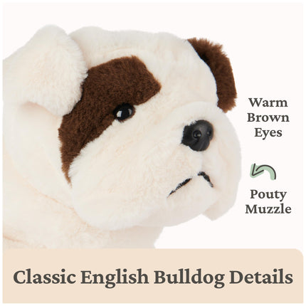 GUND Peluche de cachorrito bulldog Toast, perro de peluche para mayores de 0 años, 10 pulgadas, marrón/blanco