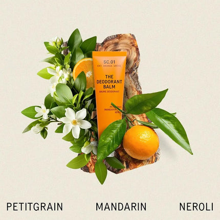 AKT Deodorant Balm 50 mL, Natural Deodorant for Men and Women, Award-Winning, Multi-use, Cream Deo Without Aluminum, Plastic Free, All Genders (SC.01 ORANGE GROVE)