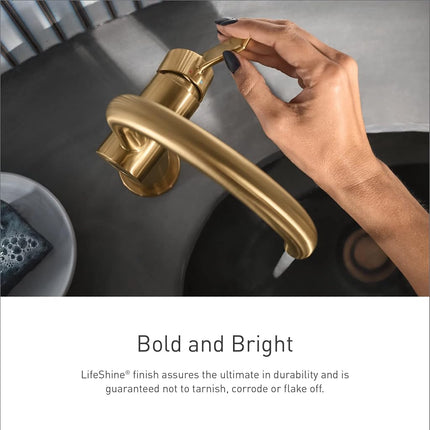 Moen A726BG Hand Shower 69-Inch Metal Double Lock Hose, Brushed Gold