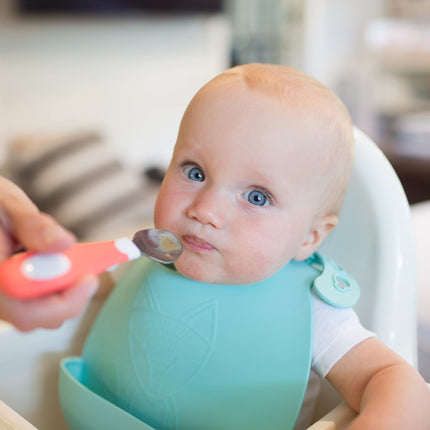 Dr. Brown's Designed to Nourish Soft-Grip Spoon and Fork Set,Coral