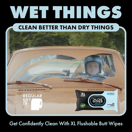 DUDE Wipes Medicated Flushable Wipes, Fragrance Free Wet Wipes with Witch Hazel, Vitamin E & Aloe, 48 Count