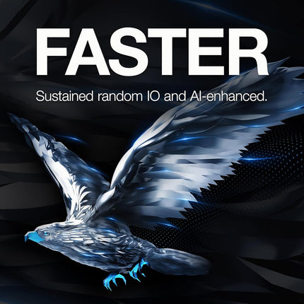 Seagate 6TB SkyHawk Internal Surveillance Drive | SATA (ST6000VXZ09)