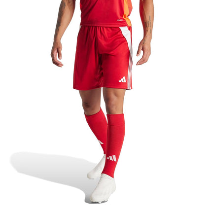 adidas mens Tiro 24 Shorts, Team Power Red/White, 