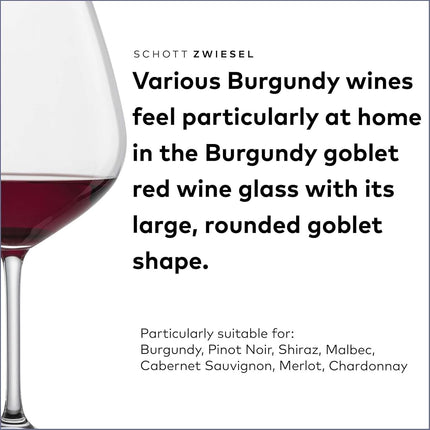 Schott Zwiesel Tritan Crystal Glass Forte Stemware Collection Claret Burgundy Red Wine Glass, 25-Ounce, Set of 6