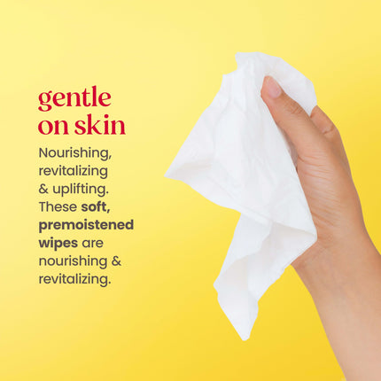 Burt's Bees Facial Cleansing Towelette Wipes for Normal Skin with White Tea Extract, 30 Counts (Package May Vary)