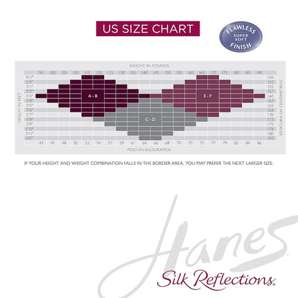 Hanes Pantimedias Silk Reflections con control de abdomen y puntera reforzada para mujer, paquete de 6, Jet, C-D
