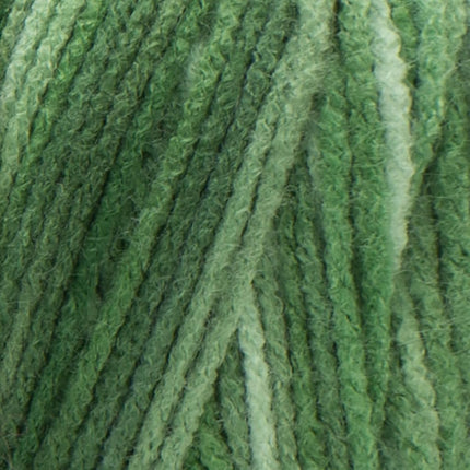Red Heart Coats: Yarn E300.0629 Super Saver Economy Yarn, Green Tone