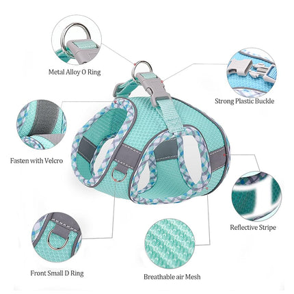 BTDCFY Step in Mesh Dog Harness and Leash Set Breathable Air Mesh Harness