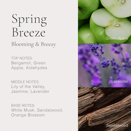 Clean Beauty Perfume Classic Spring Breeze Eau De Perfume for Women 60 ml
