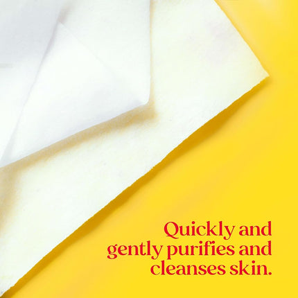BURT'S BEES Facial Cleansing Towelettes with White Tea Extract - 10 Towelettes