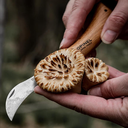 Opinel No. 08 Mushroom Knife – Pick + Clean Mushrooms, Beechwood Handle, Integrated Brush, Curved Sandvik Steel Blade, Made in France