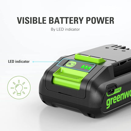 Greenworks 24V 2.0Ah Battery (Type-C)