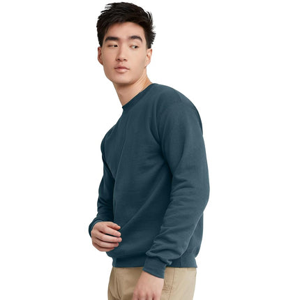 Hanes Men's EcoSmart Fleece, Cotton-Blend Pullover, Crewneck Sweatshirt, Metallic Teal 1 Pack, L