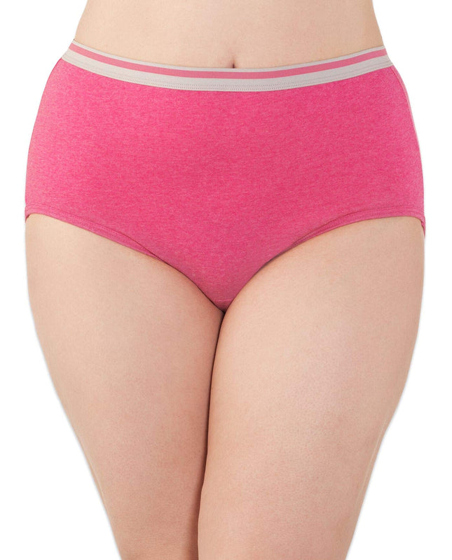 Fruit of the Loom Women's Eversoft Cotton Brief Underwear, Tag Free & Breathable, Plus Size Hi Cut - Cotton Blend - 10 Pack - Colors May Vary, 13