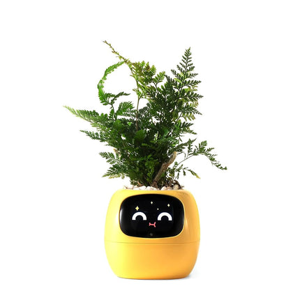 PLANTSIO Smart pet Planter Robot Guidance on Plant