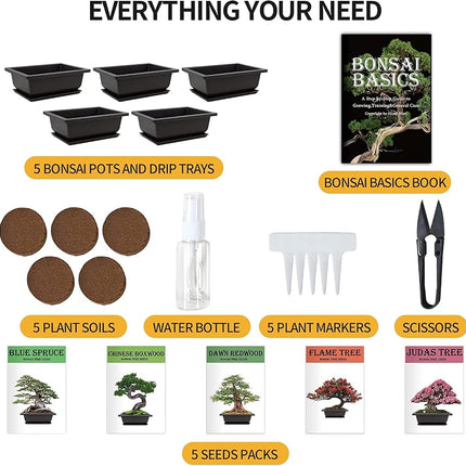 Meekear 5 Bonsai Tree Kit with Complete Plant Growing Tools, Grow in Pot Indoor Bonsai Tree Starter Kit, Home Gardening DIY Gift for Adult Green