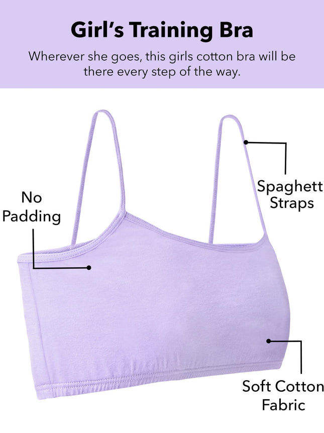 Fruit of The Loom Big Girls Training Bra, Blushing Rose/Hyacinth/Grey Heather/Blueberry/White, Small
