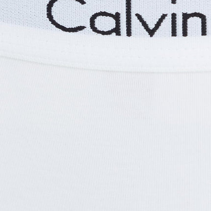Calvin Klein Women's Modern Cotton Stretch Bikini Panty Underwear, White, XL