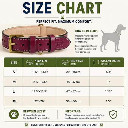 Dowgclub Genuine Leather Basic Dog Collar, Full Grain, Comfortable, Padded, Best for Pups, Small, Medium, Large, XL Dog Breeds (S (Neck Size 11.5"-14.5"), Dark Pink)