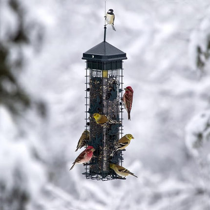Squirrel Solution200 Squirrel-Proof Bird Feeder w/6 Feeding Ports, 3.4-Pound Seed Capacity, Free Seed Funnel