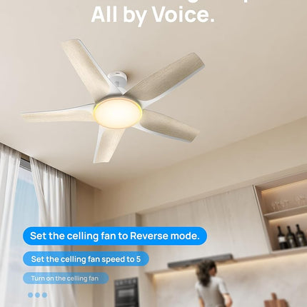 DREO Smart Ceiling Fans with Lights, Low Profile Ceiling Fan with Alexa/App, 52'' Dimmable Lighting & Color Tuning, RGB Ambient Light for Living Room, Game Room, Easy Installation, Quiet, Black