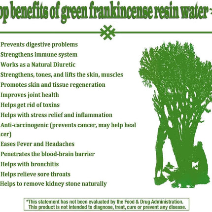 Royal Green Frankincense Hojari from Oman Boswellia Sacra| Pure Incense | Chruch Incense Olibanum | luban (1oz)