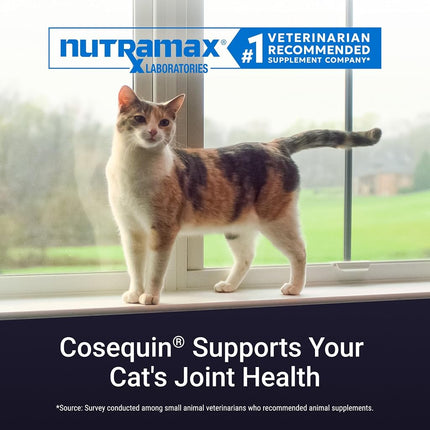 Nutramax Cosequin Joint Health Supplement for Cats - with Glucosamine and Chondroitin, 80 Capsules