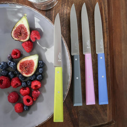 OPINEL No. 125 Table Knives Set, 4-Piece Set, High-Carbon Steel Dinner Knives for Parties, Entertaining, or Everyday Use, Painted Handles, Made in France (Countryside)