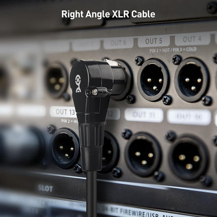 Cable Matters 2-Pack Right Angle XLR Microphone Cable, 15ft