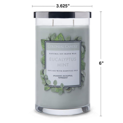 Colonial Candle Eucalyptus Mint Scented Jar Candle, Classic Cylinders Collection, 2 Wick, Green, 19 oz - Up to 120 Hours Burn