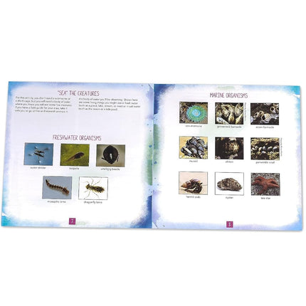 Educational Insights Nancy B's Science Club AquaScope and Activity Journal