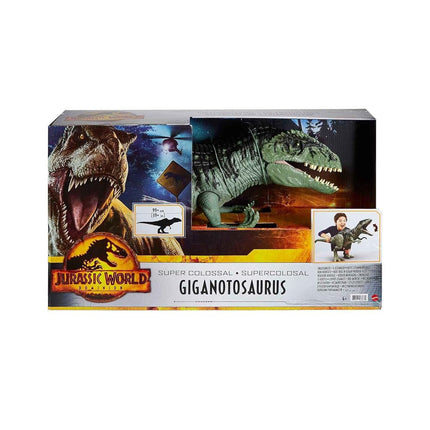 Jurassic World Dominion Super Colossal Giganotosaurus Action Figure with Eating Feature, Extra Large Toy Dinosaur at 39in Long, GWD68