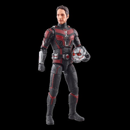 Marvel Hasbro Legends Series Ant-Man, Ant-Man & the Wasp: Quantumania Legends Action Figures, 6”
