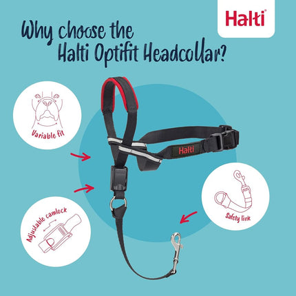 Company of Animals Halti Optifit Headcollar for Dogs, Black/Red, Large