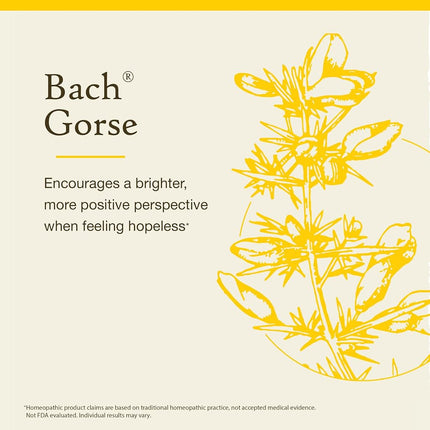 Bach Original Gorse Flower Remedies 20 ml