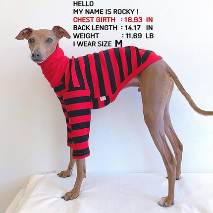 D Doggy Star Italian Greyhound Clothes Flexible T Shirts Whippet for Dogs (M,Stripe Red/Black)