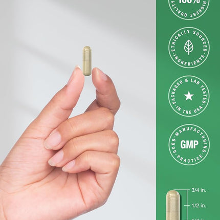 Cordyceps Capsules | 2000mg | 200 Count | Non-GMO Mushroom Supplement | Cordyceps Sinesis | by Horbaach