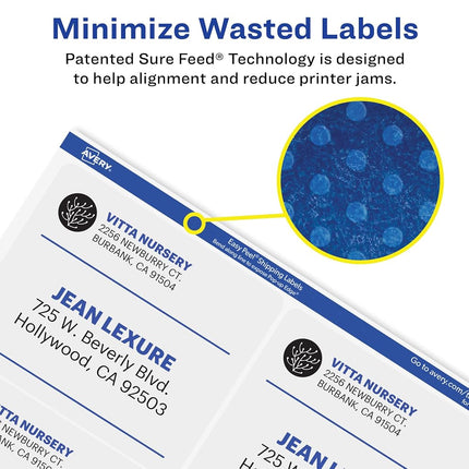 Avery Matte Frosted Clear Address Labels for Inkjet Printers, 3-1/3" x 4", 60 Labels, 5 Packs (18664)
