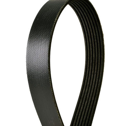 Courroie striée Continental OE Technology Series 4070834 à 7 nervures, 83,4 po
