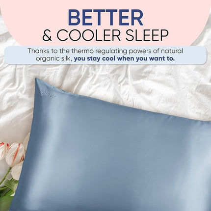 Taie d'oreiller Blissy en soie - 100 % pure soie de mûrier - Fibres de qualité supérieure 22 Momme 6A - Taie d'oreiller en soie pour les cheveux et la peau - Taille standard, Queen & King (Bleu cendré, Queen)