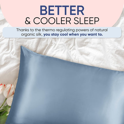 BLISSY Blissy Silk Pillowcase - 100% Pure Mulberry Silk - 22 Momme 6A High-Grade Fibers - Satin Pillow Cover for Hair & Skin - Regular, Queen & King with Hidden Zipper (King, Ash Blue)