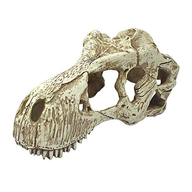 Komodo Reptile Terrarium Realistic T-Rex Skull Ornament Decor | Easy to Clean Under Water Aquarium or Dry Habitat Decoration Accessory, Large, 6.7"x 3.7"x 3.1"