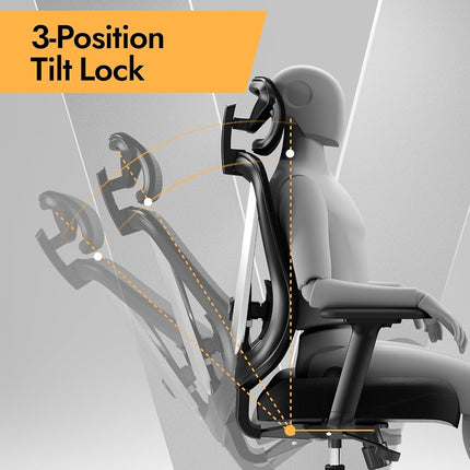 HOLLUDLE Ergonomic Mesh Office Chair - 3D Adjustable Lumbar Support, 3D Armrests, V-Shaped Back | Adjustable Desk Chair for Office & Home, Black