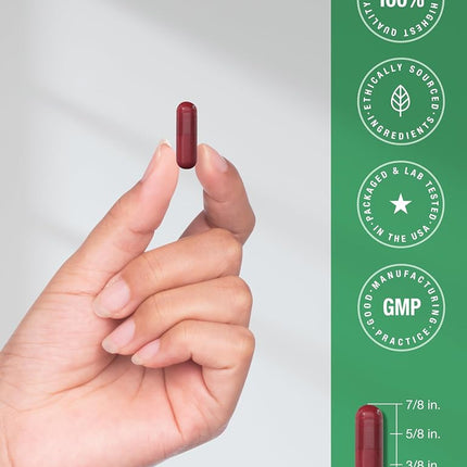 Horbäach Beet Root Powder Capsules | 320 Pills