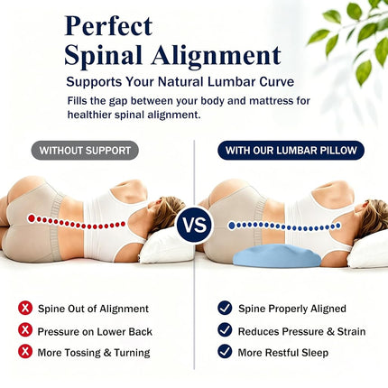 Fledano Lumbar Support Pillow for Bed – Memory Foam Lower Back Pain Relief Pillow for Sleeping, Ergonomic Lumbar Pillow for Side & Back Sleepers, Sciatica & Hip Pain Relief, Washable Cooling Cover