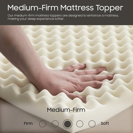 Treaton 1-inch Soft Foam Toppers with Convoluted Egg Shell Design | Extends Mattress Topper Life, Provides Proper Back Support and Relieves Pain, Improves Better Posture, Queen, White
