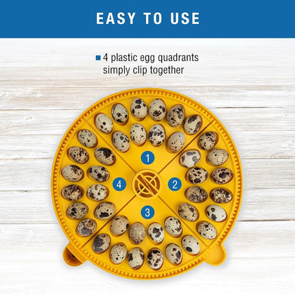 Brinsea Small Egg Quadrant Insert for Maxi Advance Incubator System, Fits 40 Pheasant or Quail-Size Eggs