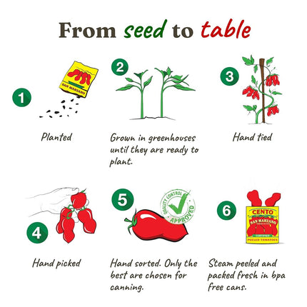 Cento Certified San Marzano Whole Peeled Plum Tomatoes, 28 Ounce , Pack of 6